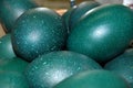 Emu eggs Royalty Free Stock Photo