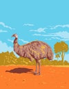 Emu in Gundabooka National Park in Outback NSW Australia Art Deco WPA Poster Art