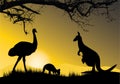 Emu and kangaroos, mum with joey