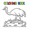 Funny emu ostrich. Animals coloring book series Royalty Free Stock Photo