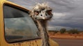 Ostrich In Front Of Yellow Vehicle: A Captivating Emotive Portraiture Royalty Free Stock Photo
