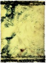 Emulsion film print