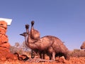 Emus, australia Royalty Free Stock Photo