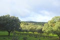 Sierra de TentudÃÂ­a. Provincia de Badajoz, Extremadura, EspaÃÂ±a Royalty Free Stock Photo