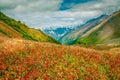 En-route Bali Pass, Upper Garhwal Himalaya Royalty Free Stock Photo