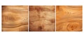 en spruce wood texture grain