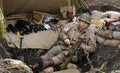 Enactor dressed as American world war two soldier resting in trench.