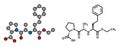 Enalapril high blood pressure drug molecule. Angiotensin Converting Enzyme (ACE) inhibitor used in treatment of hypertension