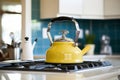 an enamel-coated teakettle whistling on the stovetop