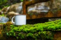 An enamel mug standing out on the top of green moss with out of focus rock background