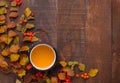 Enameled red mug of tea with branches of autumn leaves Spiraea Vanhouttei and small red fruits Rowans on old wooden table. Top v Royalty Free Stock Photo