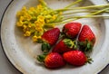 Enameled vintage plate with ripe strawberries and yellow flowers