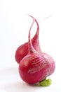 Enamoured radish