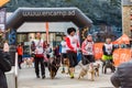 People and dogs in the amateur race in Encamp. Canicross in Andorra