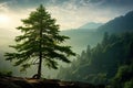 encapsulates the tranquility and beauty of a single tree standing alone in a breathtaking natural landscape.