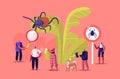 Encephalitis Mite, Tick Bite Protection Concept. Characters Search Dangerous Insect. Mite Hid on Plant Leaf