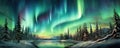 Enchanted Aurora: spellbinding panorama showcasing the ethereal beauty of the Northern Lights dancing across the night panorama Royalty Free Stock Photo