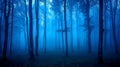 Enchanted blue mist forest at twilight