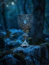 Enchanted Chalice in Mystical Forest