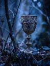 Enchanted Chalice in Mystical Forest