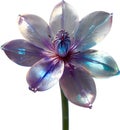 Enchanted colorful Crystal flower. Crystal flower clipart.