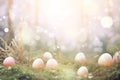 Enchanted Easter eggs in mystical, misty meadow with ethereal light and bokeh. Easter Card. Festive springtime