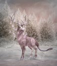 Enchanted elk