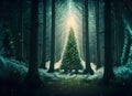 Enchanted Forest: Christmas Trees with Twinkling Lights