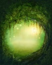 Enchanted forest Royalty Free Stock Photo