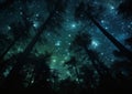 Enchanted Forest: A Dreamy Clearing Under a Starry Night Sky Royalty Free Stock Photo