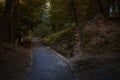 Enchanted forest fantasy nature landscape view of wood land with footpath trail between ruined ancient object Royalty Free Stock Photo