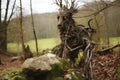 Enchanted Forest Guardian Sculpture Royalty Free Stock Photo