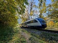 Enchanted forest journey: Train amid autumn splendor Royalty Free Stock Photo