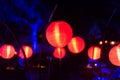 Enchanted forest of light - beautiful glowing lanterns at night