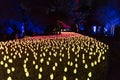 Enchanted: Forest of Light - magical field of glowing glass tulips at night