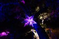 Enchanted: Forest of Light - shiny illuminated mirror star suspended in midair