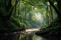 Enchanted Forest: Lush Green Paradis