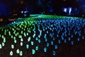 Enchanted forest - magical field of glowing glass tulips at night