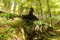 enchanted forest natural sculpture witch& x27;s hat. Urbasa Andia natural park Navarra Spain