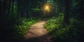 Enchanted Forest Path Magical Night Scene Royalty Free Stock Photo