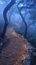 Enchanted Forest Path Shrouded in Twilit Mist The trail blurs with the trees