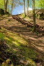 Enchanted Forest Path: Wooden Stairway Amidst Lush Green Forest Royalty Free Stock Photo