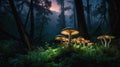 Glowing Mushrooms in Enchanted Forest at Dusk with Ferns and Trees Silhouettes. Royalty Free Stock Photo