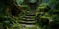 Enchanted Forest Stone Steps Lush Nature Background Royalty Free Stock Photo
