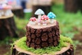 Enchanted Forest Theme Cake with Mushroom decor Royalty Free Stock Photo