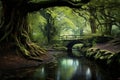 Enchanted Forest with Winding Stream Royalty Free Stock Photo