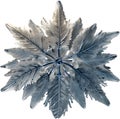 Enchanted frost flower. Frost flower clipart for decoration.