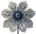 Enchanted frost flower. Frost flower clipart for decoration.