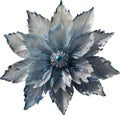 Enchanted frost flower. Frost flower clipart for decoration.