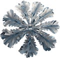 Enchanted frost flower. Frost flower clipart for decoration.